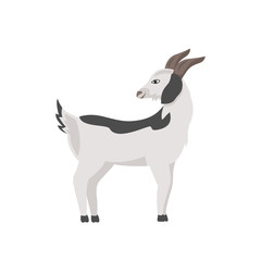 Goat with grey spots flat color vector character. Cute pet with horn and hooves. Farmland and ranch mammal. Domestic animal isolated cartoon illustration for web graphic design and animation