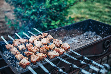 Pork on skewers cooked on barbecue grill.