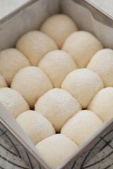 Fototapeta na wymiar 自宅でパン作り　ちぎりパン　二次発酵後、表面に小麦粉をふったパン生地