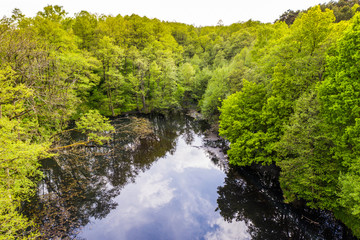 A forest lake nestled in a deciduous forest in spring - aerial view
