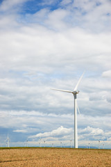 Fototapeta premium Renewable energy concept