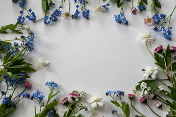 Fototapeta na wymiar Spring flowers flat lay on the white background 