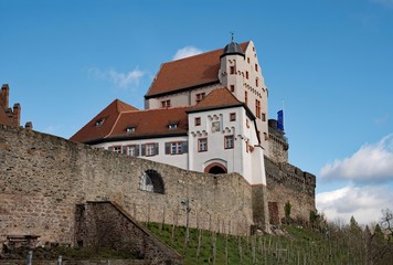 Fototapeta na wymiar Die Burg Alzenau in Unterfranken in Bayern, Deutschland 