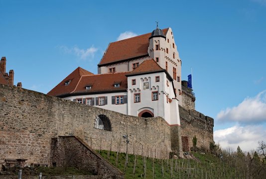 Die Burg Alzenau in Unterfranken in Bayern, Deutschland 