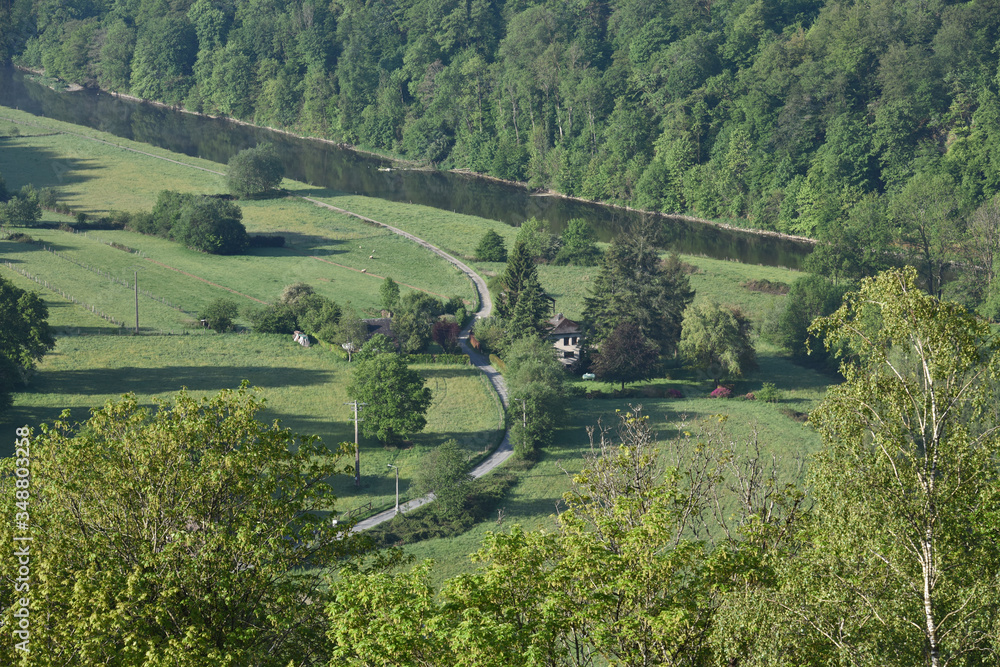 Wall mural belgique wallonie province luxembourg vert environnement bois arbre semois