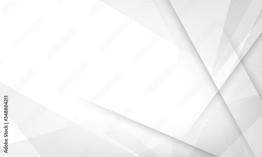 Wall mural abstract grey background poster with dynamic waves. technology network vector illustration.
