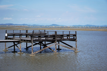 Fototapeta premium Mangrove forest viewpoint, Viewpoint of Mangroves in Tung Prong Thong or Golden Mangrove Field at Estuary Pra Sae, Rayong, Thailand