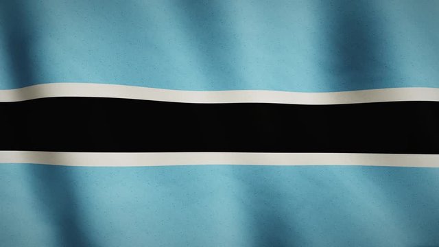 Botswana flag background waving full screen banner - seamless video animation loop