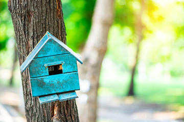 Bird house or squirell house hanging on tree in the park