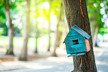 Bird house or squirell house hanging on tree in the park