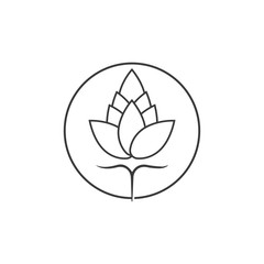 Beauty Cotton flower vector , Simple  icon Cotton flower template symbol nature