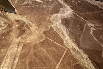 Unesco Heritage: Lines and Geoglyphs of Nazca, Peru - Whale
