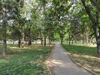 Belgrade Serbia Cukarica banovo brdo park