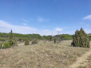 Deliblato european desert sandy terrain landscape Banat Serbia