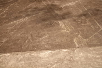 Unesco Heritage: Lines and Geoglyphs of Nazca, Peru - heron