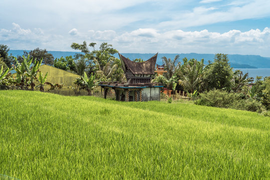 Multi-story grave from the Batak people of Toba in the North Sumatra province. Batak have a special death cult with a complex burial tradition