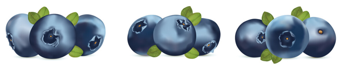 Useful ripe fresh blueberry on white background. Freshly picked blueberry with green leaf. Organic berry. Sweet blueberry berry close up.Icon set. 3D realistic illustration.