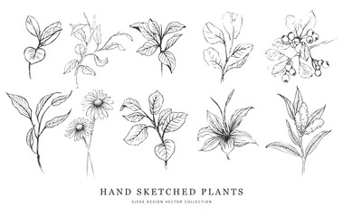 Hand Sketched Botanical Plants Foliage Vector Illustration