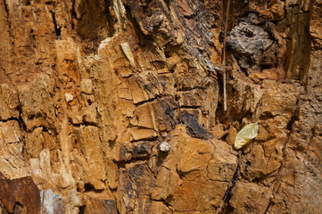 Brown and yellow broken wood background