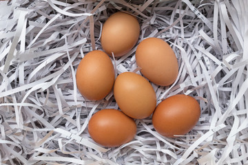 Group of Eggs straw.