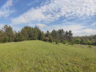Deliblato european desert sandy terrain landscape Banat Serbia