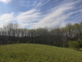 Deliblato european desert sandy terrain landscape Banat Serbia