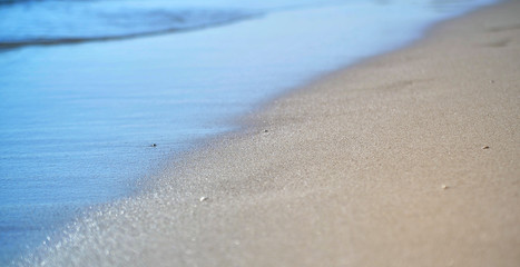 Beautiful beach of Crimea. Sea. 