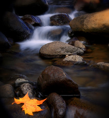 long exposure image with leave in foreground and milky water