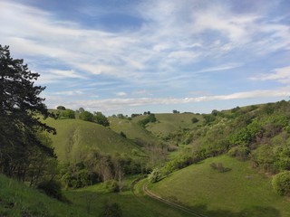 Zagajicka brda Deliblato green desert Serbia landscape