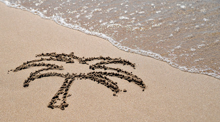 Palm written on sand texture.