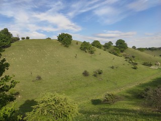 Obraz premium Zagajicka brda Deliblato green desert Serbia landscape