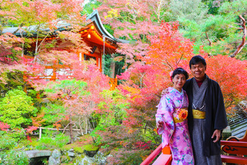 Fototapeta premium Asian senior couple dressing kimono posing with autumn tree in japanese garden during autumn season. Kyoto, Japan