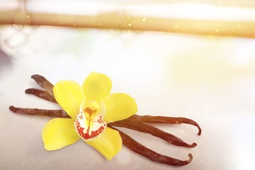 Vanilla.