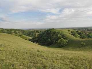 Fototapeta premium Zagajicka brda Deliblato green desert Serbia landscape