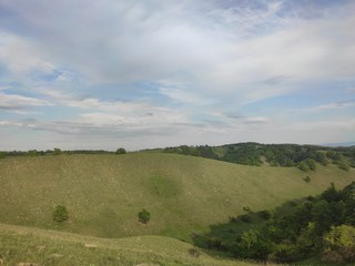 European green desert Deliblato sandy terrain landscape Serbia 