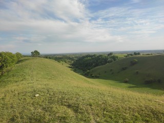 European green desert Deliblato sandy terrain landscape Serbia 