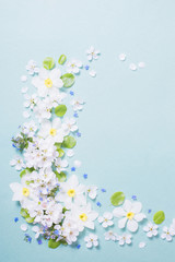 white narcissus and cherry flowers on green paper background
