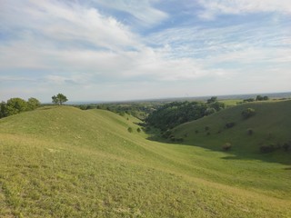 European green desert Deliblato sandy terrain landscape Serbia 