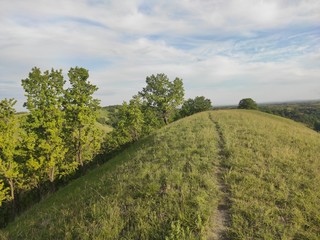 European green desert Deliblato sandy terrain landscape Serbia 