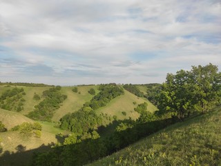 European green desert Deliblato sandy terrain landscape Serbia 