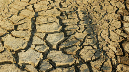 Drought cracked pond wetland, swamp drying up soil crust earth climate change, surface extreme heat wave caused crisis, environmental disaster earth cracks very, death dry degradation marsh