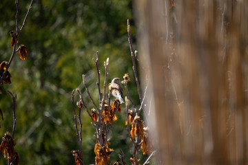 Gartenbesuch