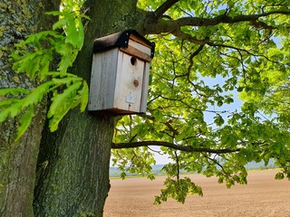 Germany Nature