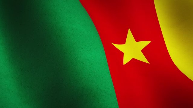 Cameroon waving flag closeup for democracy - seamless video animation