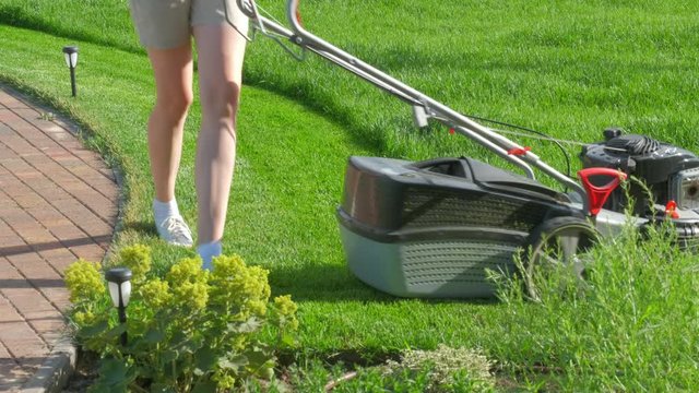 Sprinkler watering lush green grass, shrubs and flowers. Drops of water on the lawn. The path is laid out with paving stones. The backyard garden is flooded with sunlight. Water jets.