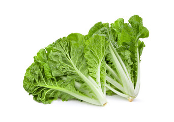 lettuce leaves on white background