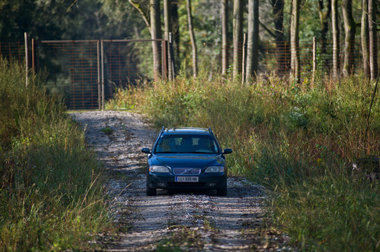 Volvo V70 Tdi On A Forest Road