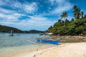 tropical beach with palm trees ,blue sky  and boats