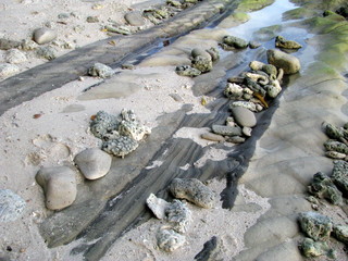 Andaman and Nicobar Islands