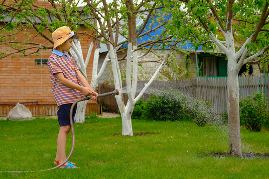 Little Boy In A Hat Is Watering A Tree With A Hose At The Dacha.